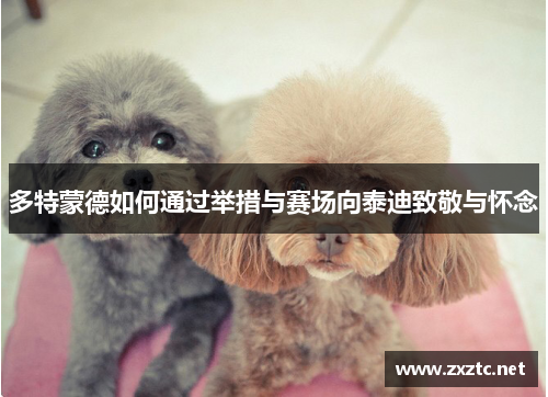 多特蒙德如何通过举措与赛场向泰迪致敬与怀念